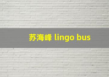 苏海峰 lingo bus